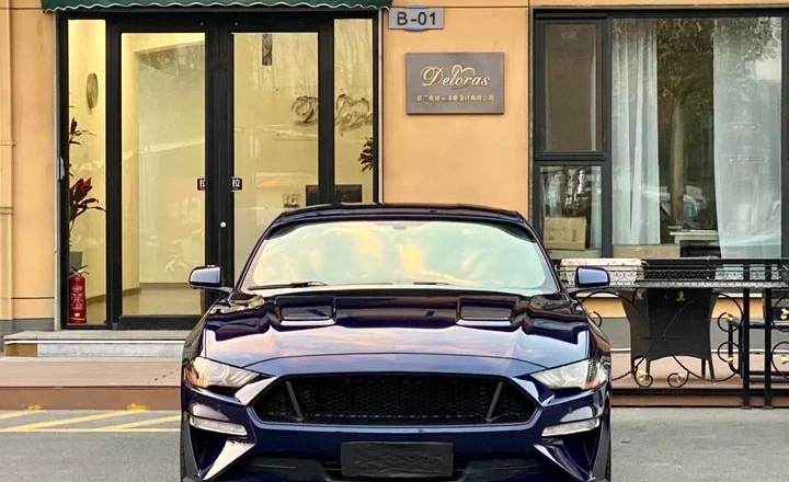 福特 Mustang 2018款 Mustang 2.3L EcoBoost