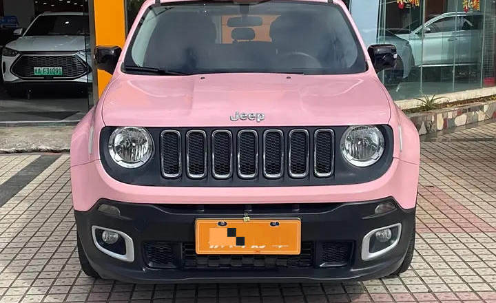 Jeep 自由侠 2019款 220T 自动标准版