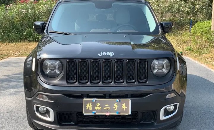 Jeep 自由侠 2019款 220T 自动标准版
