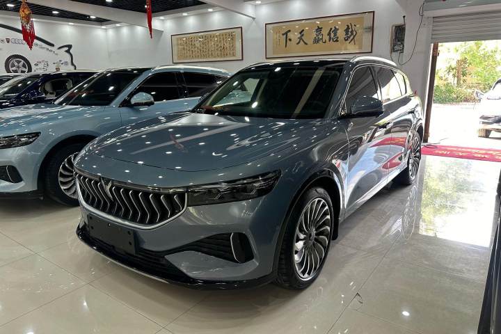 嵐圖汽車 嵐圖FREE 四驅(qū)標(biāo)準(zhǔn)增程專屬豪華套裝