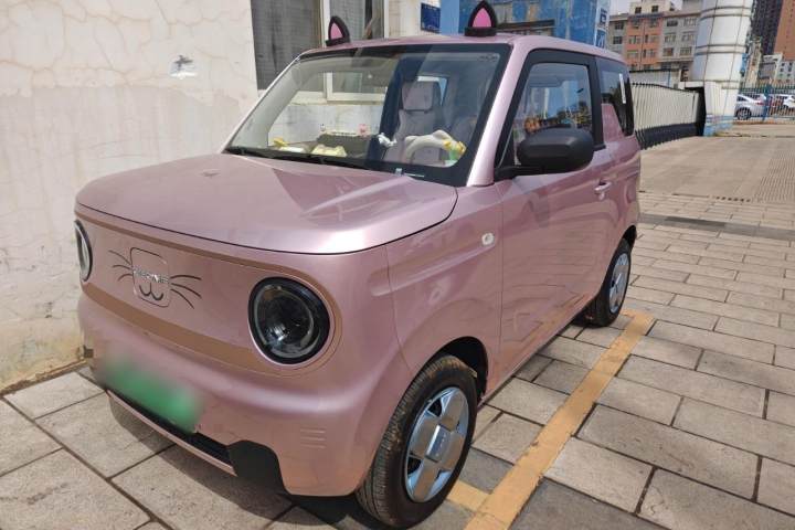 吉利汽車 熊貓 熊貓mini 200km 耐力熊