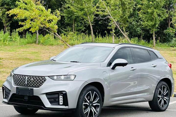 魏牌  VV7新能源 PHEV 2.0T 旗艦型