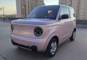 吉利汽车 2023款 熊猫mini 200km 耐力熊