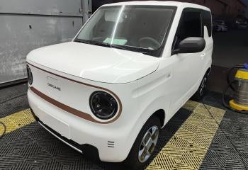 吉利汽车 2024款 熊猫mini 200km 龙腾PRO版