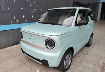 吉利汽车 2024款 熊猫mini 200km 耐力熊