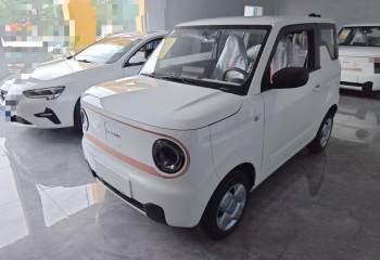 吉利汽车 2024款 熊猫mini 200km 耐力熊