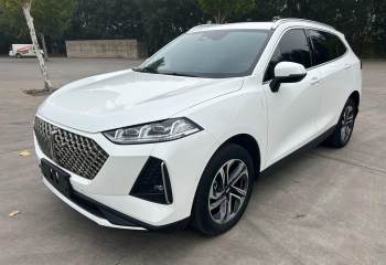 魏牌 玛奇朵DHTPHEV 2021款 1.5L 大师版