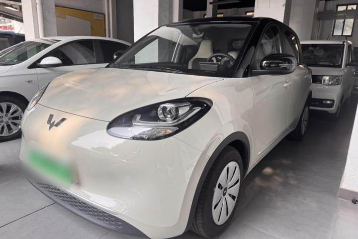 五菱汽车 五菱缤果 203km 轻享款