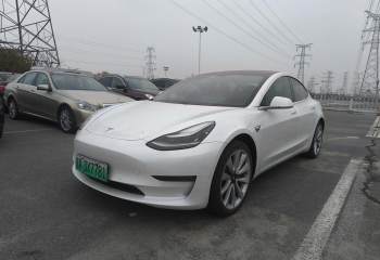 特斯拉 Model 3(进口) 2019款 长续航后驱版