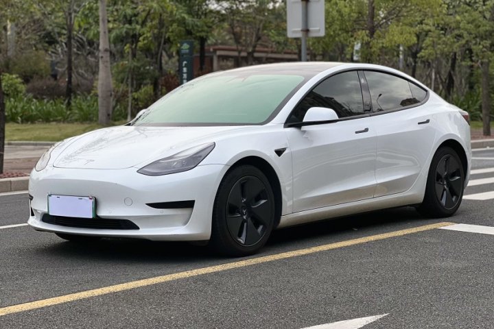 特斯拉 Model 3 標(biāo)準(zhǔn)續(xù)航后驅(qū)升級(jí)版