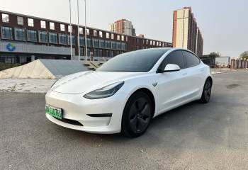 特斯拉 Model 3(进口) 2019款 长续航全轮驱动版