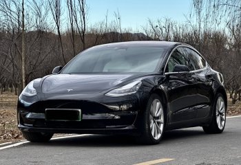 特斯拉 Model 3(进口) 2019款 长续航后驱版