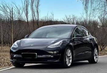 特斯拉 Model 3(进口) 2019款 长续航后驱版