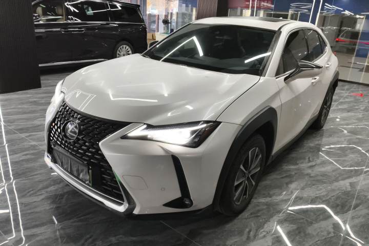 雷克萨斯 UX新能源 300e 纯·悦版