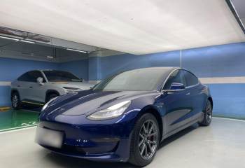 特斯拉 Model 3(进口) 2019款 长续航后驱版