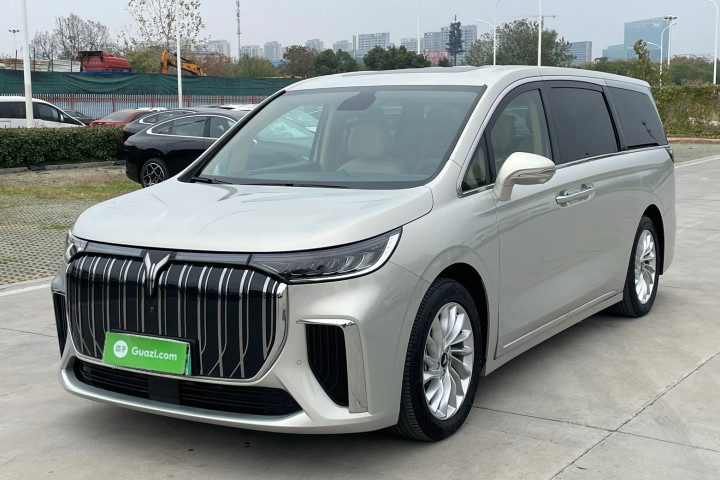 岚图汽车 岚图梦想家 0碳版 家 475km