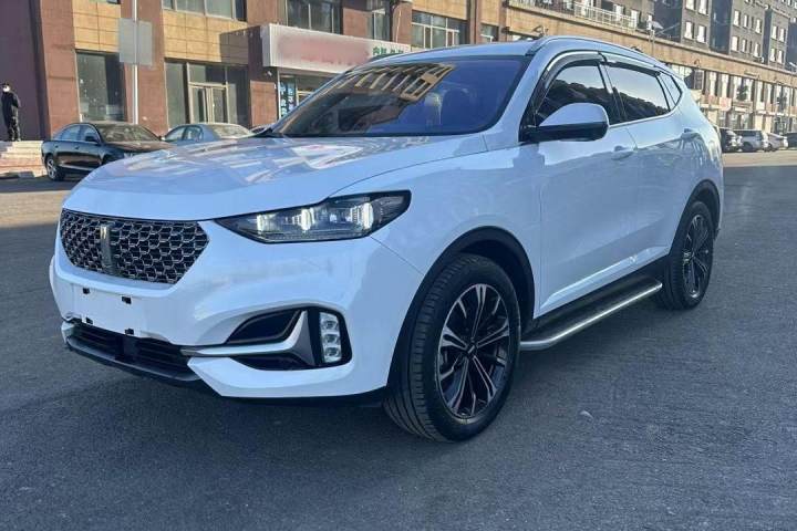 魏牌  VV6 2.0T 两驱智护+