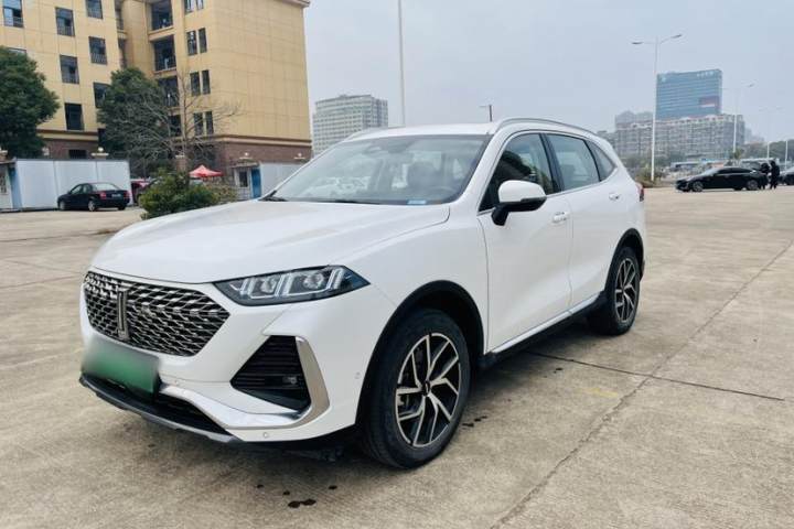 魏牌  拿铁DHT-PHEV 1.5T 四驱超大杯
