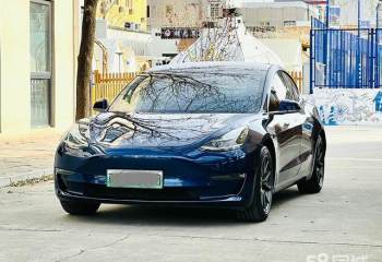 特斯拉 Model 3(进口) 2019款 长续航全轮驱动版