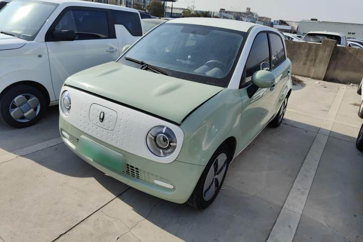 欧拉 黑猫 301km 萌动型 磷酸铁锂