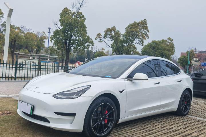 特斯拉 Model 3(进口) 标准续航后驱升级版