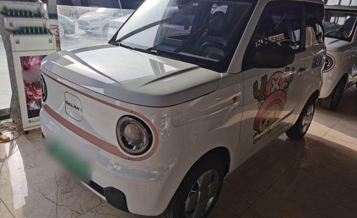 吉利汽车 2023款 熊猫mini 120km 萌萌熊