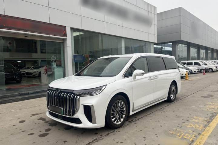 岚图汽车 岚图梦想家 低碳版 梦+智享包