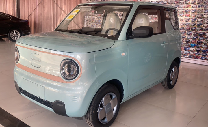 吉利汽車(chē) 2024款 熊貓mini 200km 耐力熊