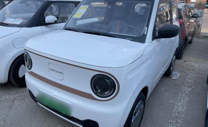 吉利汽車(chē) 2024款 熊貓mini 200km 耐力熊