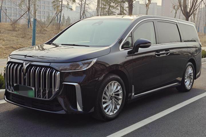 嵐圖汽車 嵐圖夢想家 PHEV 超長續(xù)航尊貴版