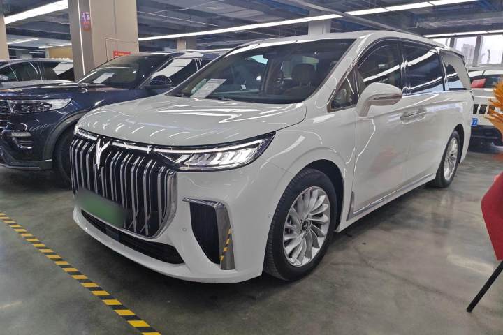 岚图汽车 岚图梦想家 PHEV 超长续航尊贵版