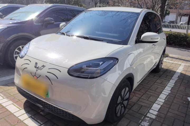 五菱汽车 五菱缤果 333km 悦享款