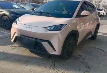 比亚迪 海鸥 2024款 荣耀版 305km 活力版
