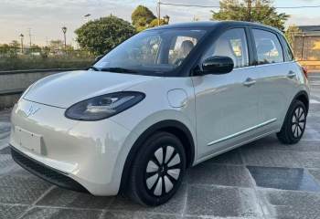 五菱汽车 五菱缤果 2024款 333km 悦享款
