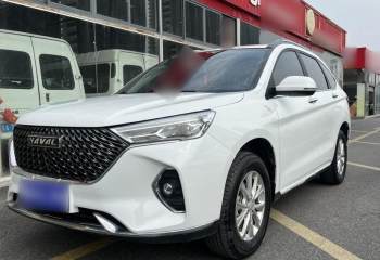 哈弗H6 2020款 1.5GDIT 自动铂金冠军版