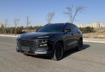 捷途 大圣 2024款 1.6T DCT 王者