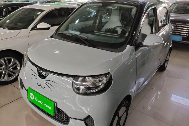 小虎 EV FOR-Four乖乖虎 三元锂