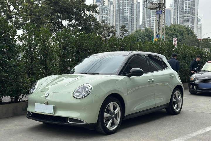 欧拉 好猫 莫兰迪版 400km标准续航 尊贵型 磷酸铁锂