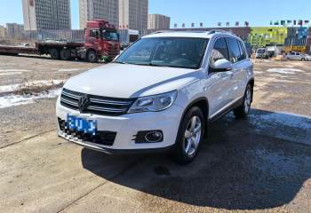 大众 途观 2010款 1.8TSI 自动四驱菁英版