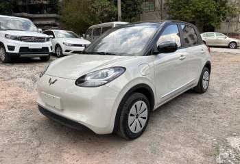 五菱汽车 五菱缤果 2024款 203km 轻享款