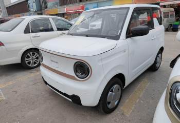 吉利汽车 2024款 熊猫mini 200km 耐力熊