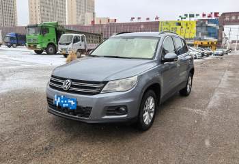 大众 途观 2010款 1.8TSI 自动两驱风尚版
