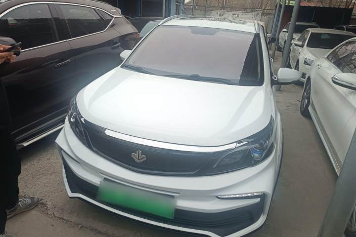 睿蓝汽车 枫叶30X 风尚版