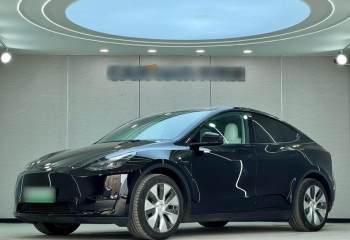 特斯拉 Model Y 2021款 标准续航后驱版
