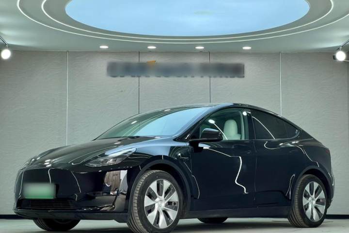 特斯拉 Model Y 2021款 标准续航后驱版