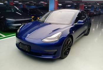 特斯拉 Model 3(进口) 2019款 Performance高性能全轮驱动版