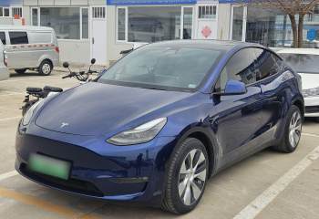 特斯拉 Model Y 2021款 长续航全轮驱动版