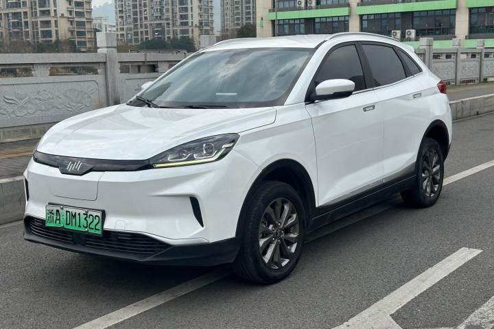 威马汽车 威马EX5 EX5 400 即客行版