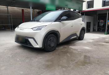 比亚迪 海鸥 2025款 305km 活力版