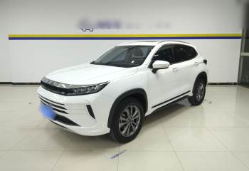星途追风 2024款 1.5T CVT好事花生版